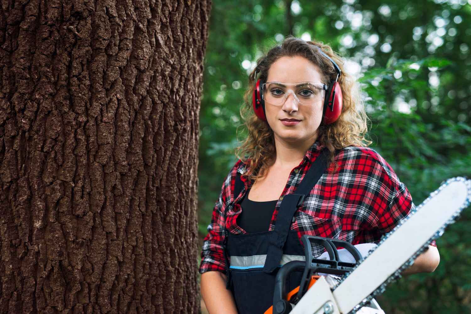 Professional Tree Services - Safe & Reliable Tree Care